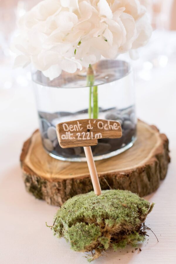 nom de table original et fait main réalisé par esprit pop'up pour un mariage sur le thème lac et montagne
