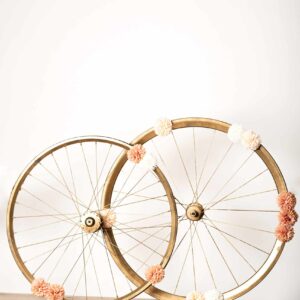 Roues de vélo
