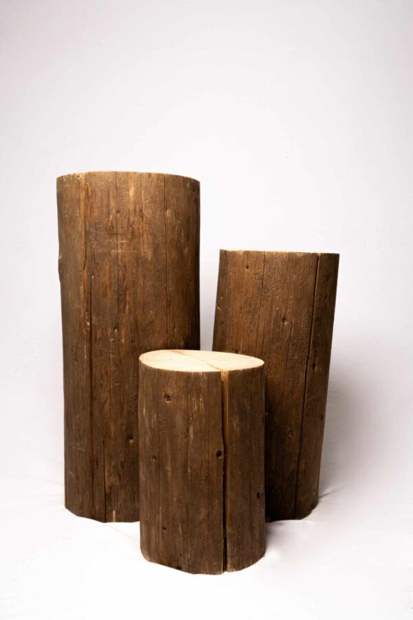Tronc d'arbre